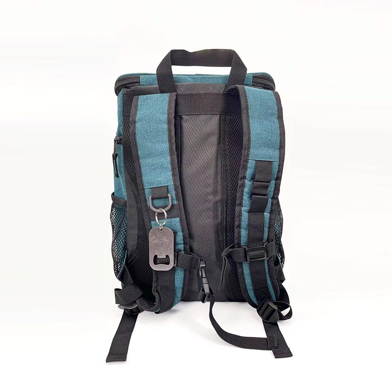 Cooler backpack style